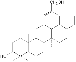 7.gif (2168 bytes)