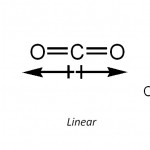 Moléculas Apolares - dipolo resultante igual a zero