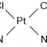 Pt(NH3)2Cl2(s)