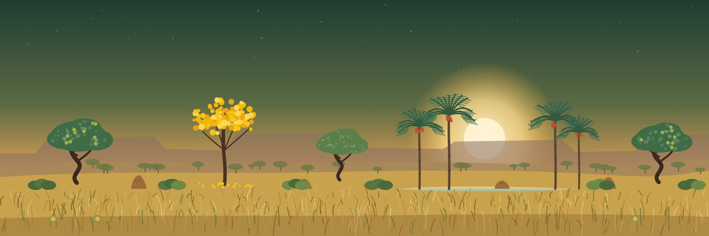 Ilustração do Cerrado ao entardecer, com ipê-amarelo, pequizeiros e buritis